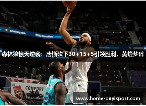 森林狼惊天逆袭：唐斯砍下30+15+5引领胜利，黄蜂梦碎